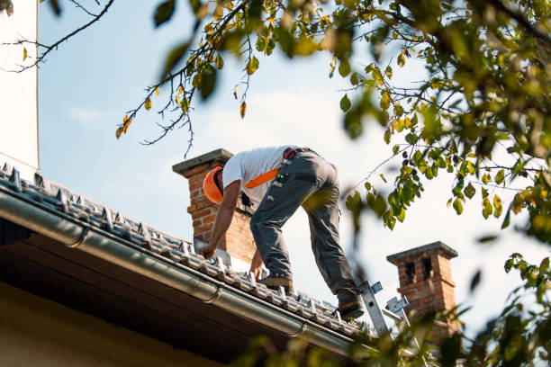 Best Flat Roof Repair Services  in Beresford, SD